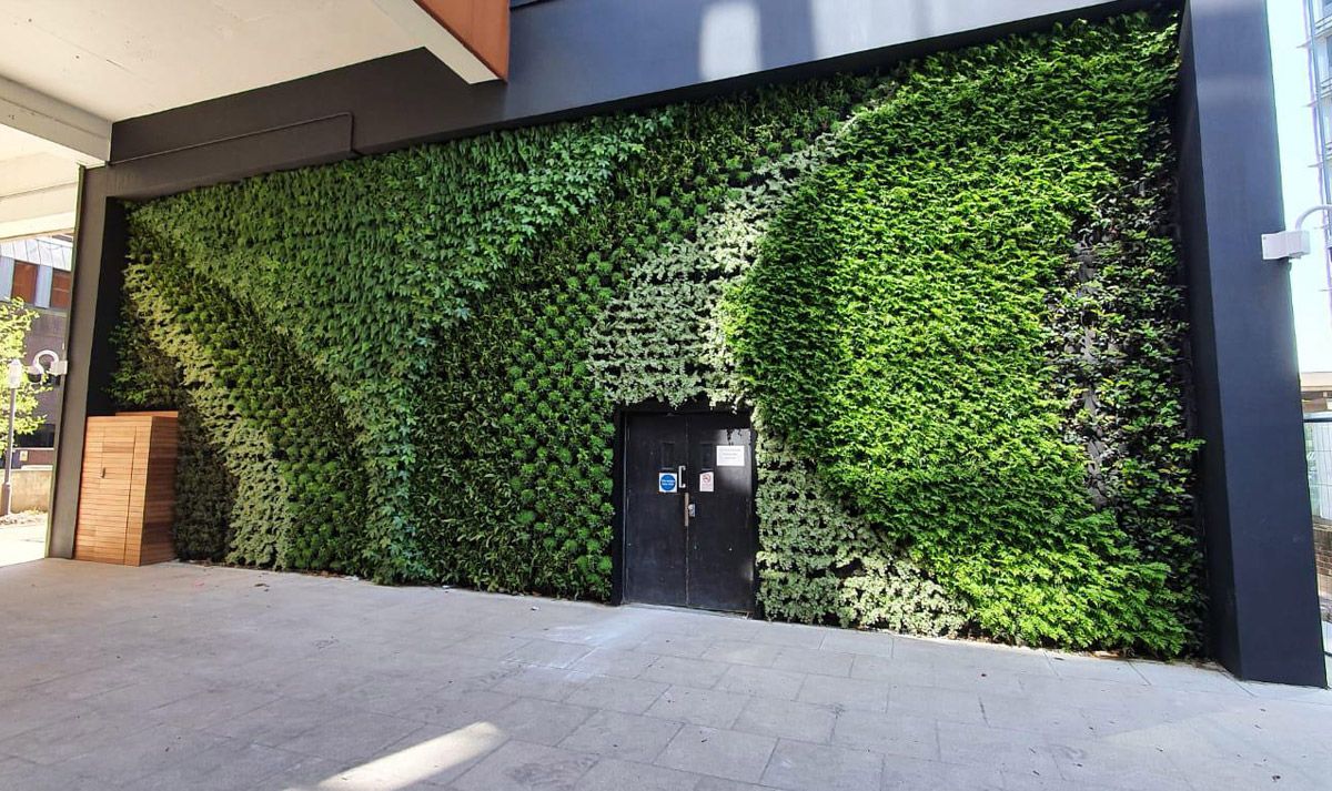 Picture of The Environmental Benefits of Live Green Walls in Urban Areas